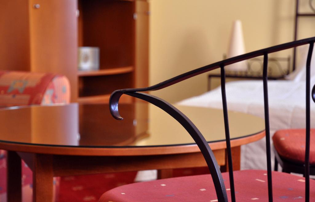 Festival Apartment Karlovy Vary Room photo