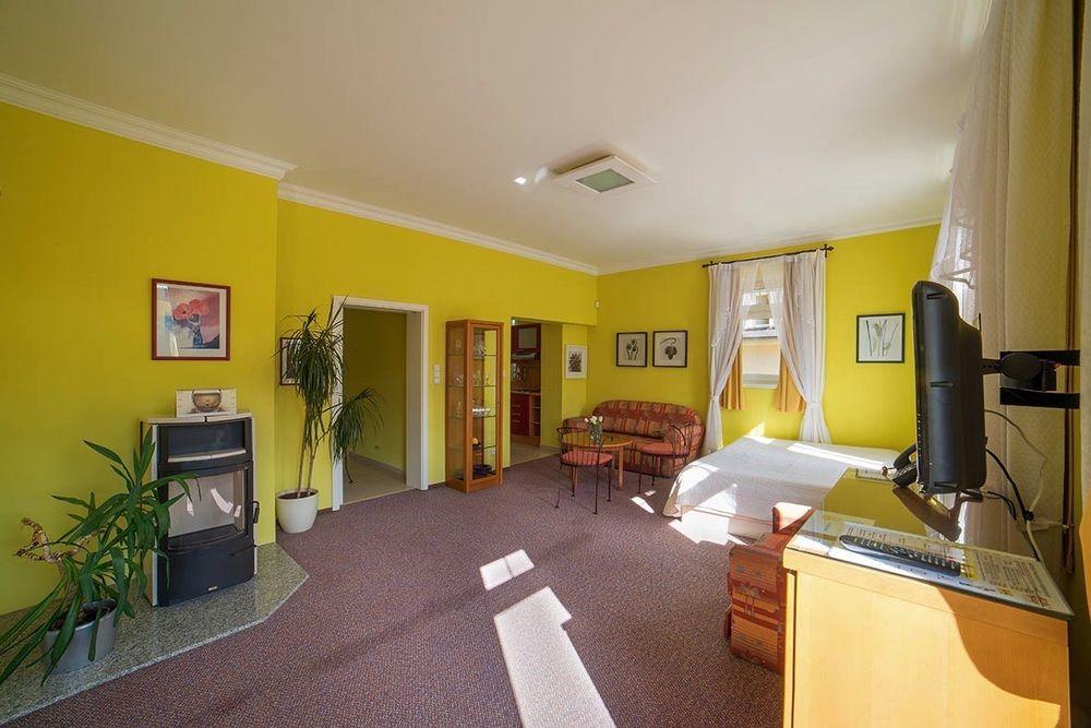 Festival Apartment Karlovy Vary Exterior photo